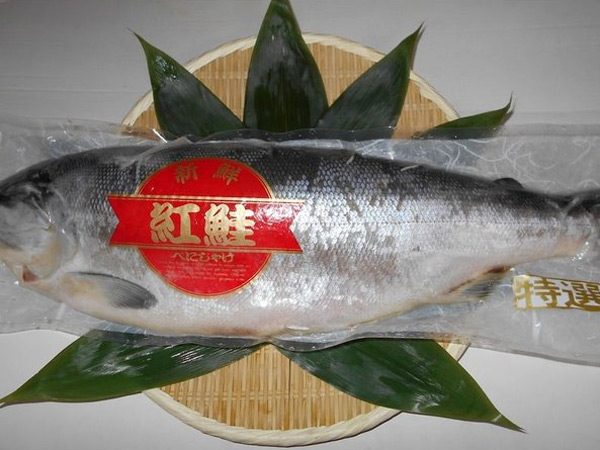 salmon001